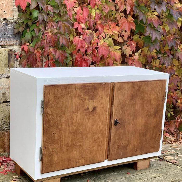 311597881_523676389767927_1962842105629647785_n